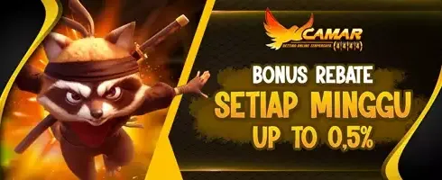 VIP Slot Weekly Rebate promotion banner